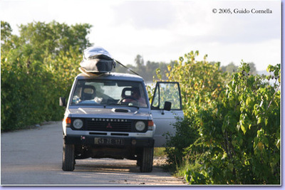 Surf Guadeloupe Allamanda Surf Camp Price List Surf Guadeloupe Allamanda Surf Camp Price List
