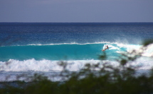 Allamanda Surf Camp, Guadeloupe’s premier surf camp, the ideal base for lessons and surf trips. Allamanda Surf Camp, Guadeloupe’s premier surf camp, the ideal base for lessons and surf trips.