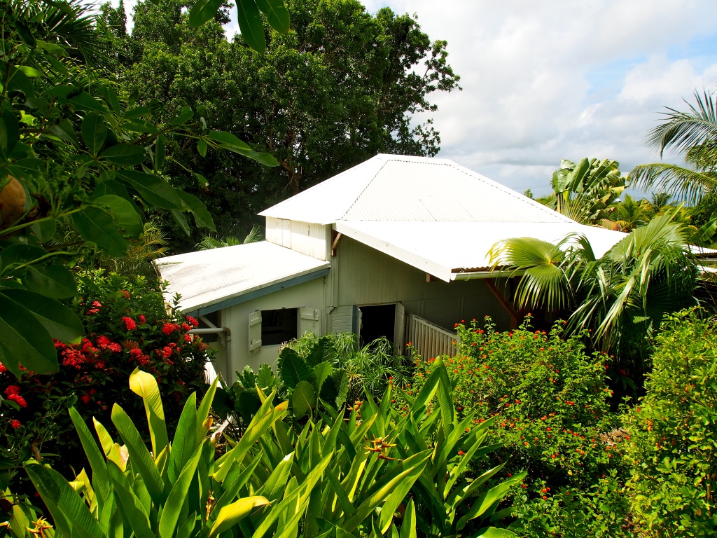 The Creole House